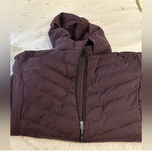 Maroon puffer